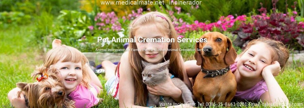 (animal incinerator prices) #incinérateur HICLOVER INCINERATOR – #Medical Was…