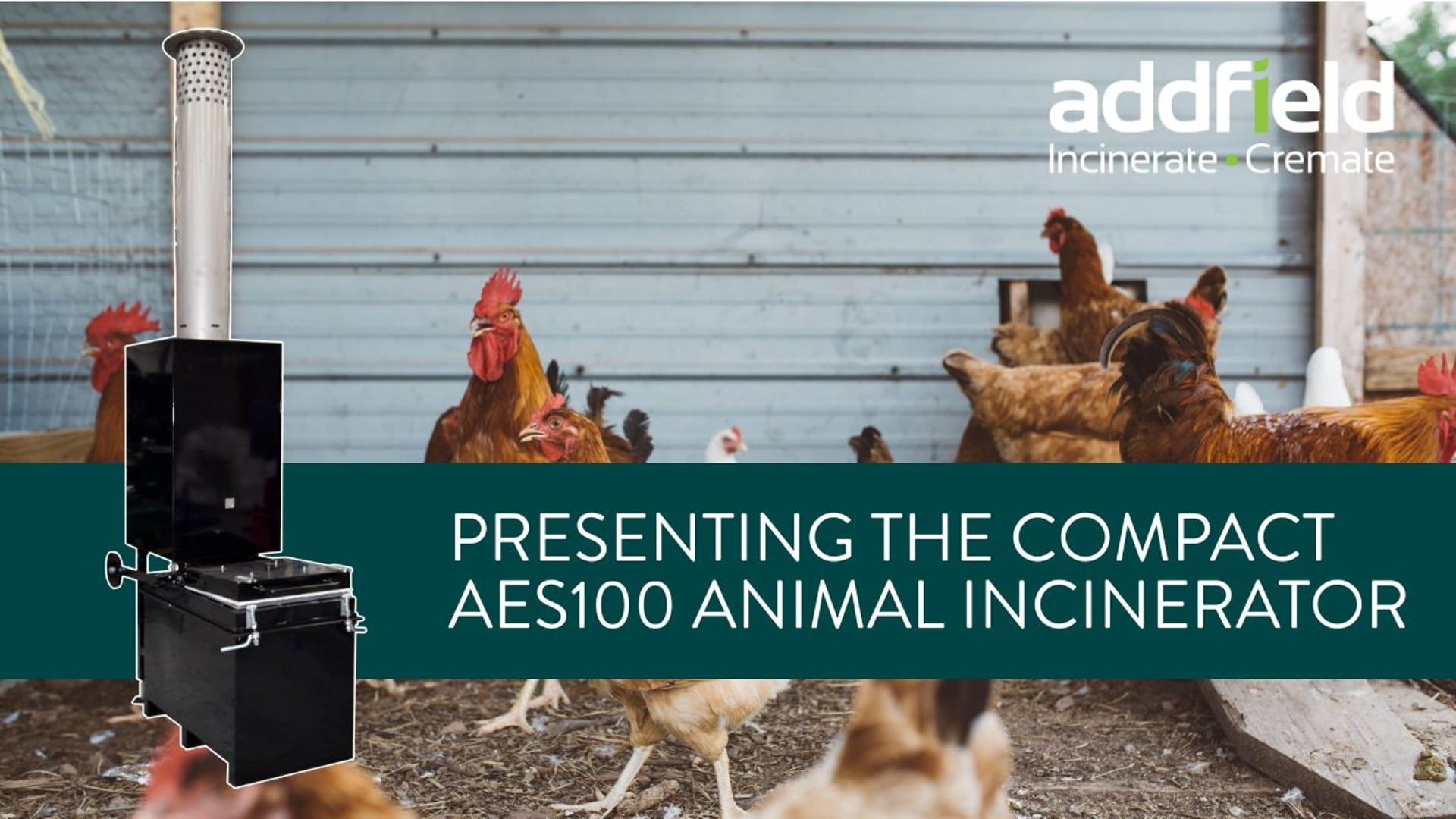Presenting the Compact AES100 Animal Incinerator